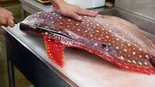 JAPONYA SOKAK YEMEKLERİ - DEV GÜNEŞ BALIĞI !!! JAPAN STREET FOODS - GIANT SUNFISH !!!