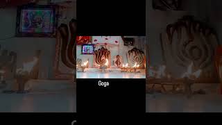 Goga ni sain hashe// viral song #viralvideo #vralgujratisong