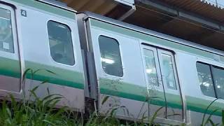 横浜線 E233系6000番台HO21編成「八王子行き」菊名駅到着