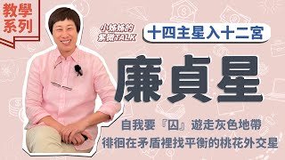 教學系列【廉貞星入十二宮】自我要『囚』 遊走灰色地帶 徘徊矛盾裡找平衡的桃花外交星｜小姊姊的紫微Talk