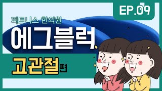 에그블럭을 이용한 고관절 가동성 훈련