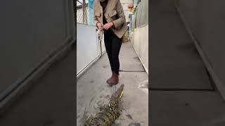 Mrs Brave feed crocodile 1