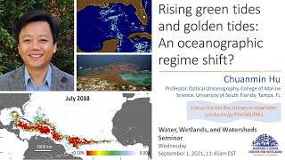 W3seminar: Rising green tides and golden tides: An oceanographic regime shift?