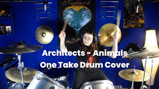 Architects - Animals (One Take Drum Cover)