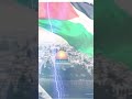 jalim pr ek bijli hu🇦🇪 palestin aqsamasjid abdulmalikqadri