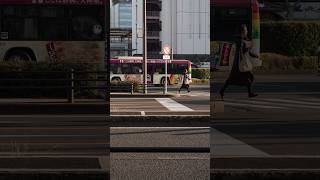 Street Photography Shizuoka Japan 26th December 2024 LeicaCL Short01