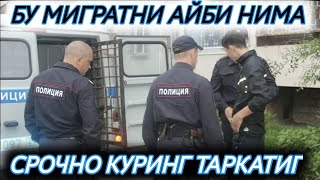 МИГРАТНИ АЙБИ НИМА СРОЧНО КУРИНГ ТАРКАТИНГ