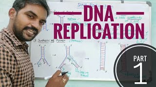 DNA Replication - Part 1 | Tamil | Molecular Biology