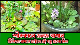 শীতকালে জলজ বাগানের যত্ন / বাগান টিকিয়ে রাখতে  সহজ টিপস ও পদ্ধতি / Winter Aquatic Garden Care Tips