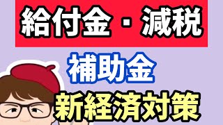 給付・減税・補助金・新・経済対策１０月１０日公表の内閣府資料より【中小企業診断士YouTuber マキノヤ先生】第1576回