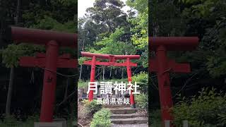 【壱岐】月讀神社 #shorts