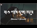 Jao Pakhi Bolo Tare [Slowed+Reverb] - Krishnokoli | Monpura | যাও পাখি বলো তারে