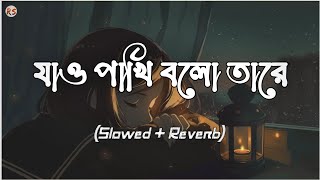 Jao Pakhi Bolo Tare [Slowed+Reverb] - Krishnokoli | Monpura | যাও পাখি বলো তারে