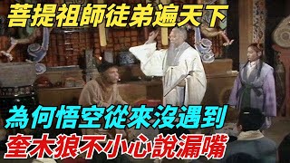 菩提祖師徒弟遍天下，為何悟空從來沒遇到？奎木狼不小心說漏嘴！【縱觀千秋】西遊記#孫悟空#歷史#歷史故事#歷史人物#歷史萬花鏡#歷史風雲天下