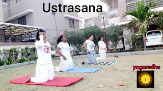 STEP BY STEP PRACTICE OF POORNA USTRASANA