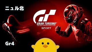 【ニュル北】グランツーリスモスポーツ【Gr4】