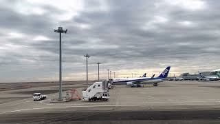 20230117 羽田空港(HND) → 新千歳空港(CTS) ANA61 B777-281 JA742A