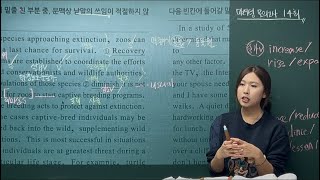 중3A 마더텅 14회 해설