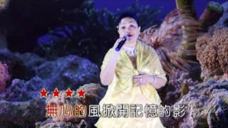 陳麗卿會長【一面鏡】( 詞-邱宏瀛 曲-黃明洲\u0026吳舜華 )