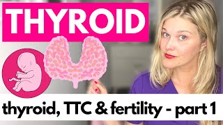 THYROID & FERTILITY: Part 1 - Understanding TSH and Your Thyroid Hormones