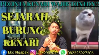 SEJARAH BURUNG KENARI || Pecinta Burung Wajib Tonton ||