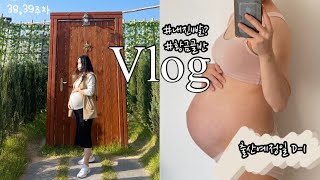 Vlog 38,39주차 임산부 | 임신 10개월 | 내진빨 | 황금골반 | 수유복쇼핑 | 마지막만찬 | 융건릉 산책