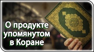 Эти плоды и масло из них упоминаются в Коране, пророческих сообщениях и исламской медицине