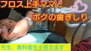 【フロス上手ママとボクの歯ぎしり】 調布市  原歯科医院