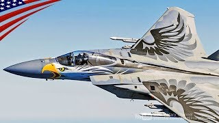 【超カッコイイ】白頭鷲の塗装のF-15イーグル