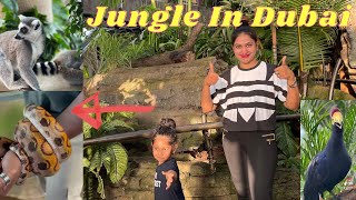 Vedhu’s First Forest Visit | GreenForest Dubai