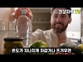 죽을 때까지 숙변 안쌓이는 음식3가지 치매 위험 높이는 변비약 먹지마세요 변비 해결 습관 5가지. ‘이것’ 먹으면 묵은 변 꽐콸 쏟아집니다 변비에 좋은 음식.