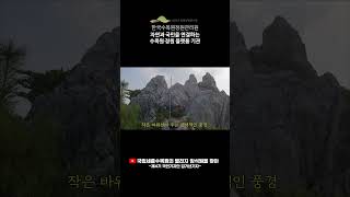 [제4기국민기자단] 국립세종수목원의 별천지 암석원을 찾아