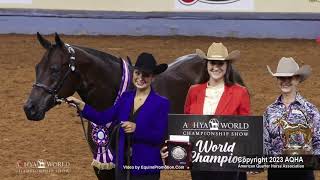 2023 Youth Performance Halter Geldings -- AQHYA World Show