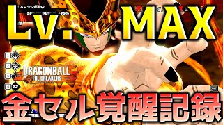 【ドラゴンボール ザ ブレイカーズ】セル完全体のパーフェクトキャンプで戦闘力５の一般人サバイバーを全滅させたい_レイダー【DRAGONBALL THE BREAKERS】