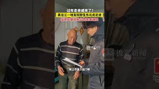 过年走亲戚来了？黑龙江一地发现野生东北虎足迹，当地民警张贴公告挨家通知！#喜迎亚冬会歌声里的黑龙江 #跟着亚冬游龙江