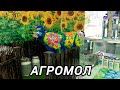 Харьковский молочный комбинат. Что продают в магазине. 8.05.2024.