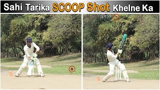 How to Play Scoop Shot in Cricket !! Batting Techniques For Beginners !!