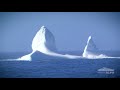 Scenic Eclipse Destination | Antarctica in Depth