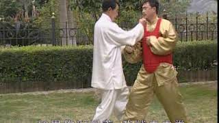 Hebei Tongbi Quan  'Meet the enemy twelve consecutive fists'