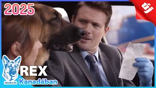 REX Kanadában 2025 🐕‍🦺👮Tehetséges nyomozó rendőrkutya🐕‍🦺👮A Legjobb Krimi Tévésorozat Teljes Epizódok