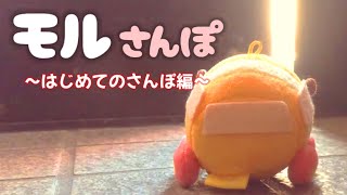 モルカー「モルさんぽ〜はじめてのさんぽ編〜」PUI PUIモルカーおもちゃアニメ