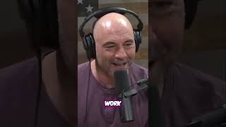 Joe Rogan Breaks Down Why Fighting Is Pure CHAOS!