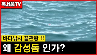 바다낚시 끝판왕 거문도 감성돔낚시#2부