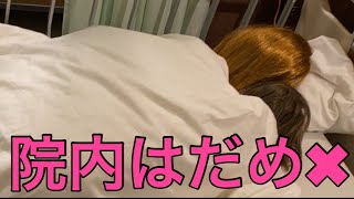 【柴犬飼い主54歳】院内トリック