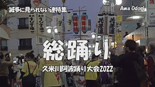 も一度浸りたい雰囲気❕「4連合同の総踊り」久米川阿波踊り大会2022 （2022.10.22）