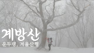 [계방산, 강원도 홍천] 겨울 산행, 여기는 꼭 가보셔야 합니다. 추천👍👍