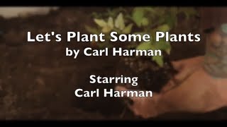 Let's Plant Some Plants - Carl Harman | Official Music Video