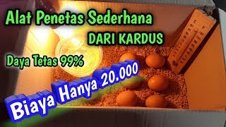 Alat Tetas Telur Sederhana Dari Kardus