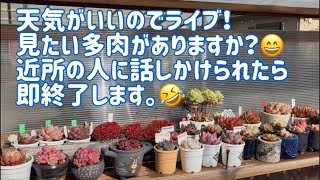 【多肉植物】👀見たい多肉はありますか❓　近所の人に話しかけられたら即終了。🤣💦