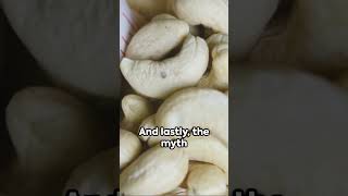 Cashew Nut Myths vs. Facts: Unveiling the Truth